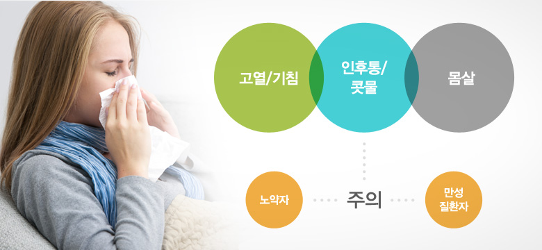 고열/기침, 인후통/콧물, 몸살