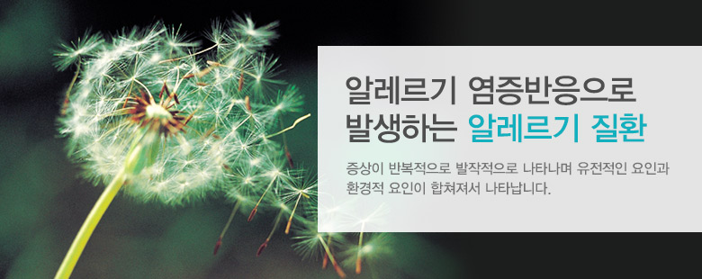 알레르기 염증반응 때문에 발생하는 알레르기 질환