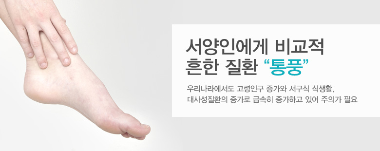 서양인에게 비교적 흔한 질환 "통풍"