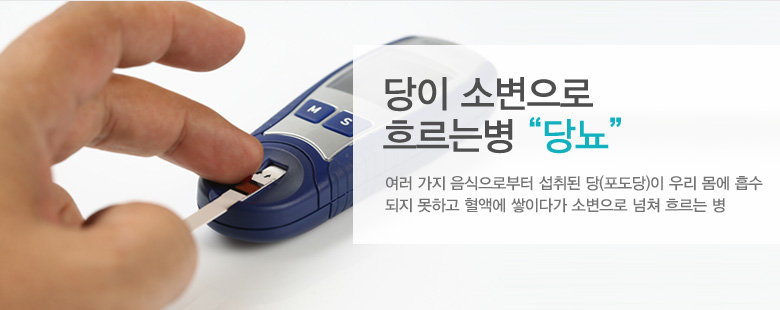 당이 소변으로 흐르는병 "당뇨"