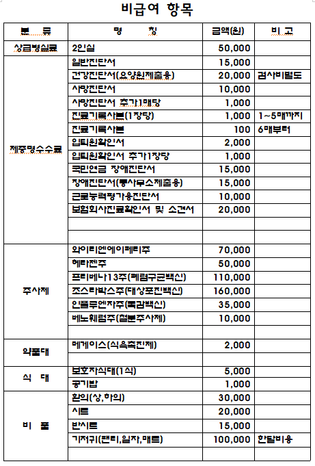 비급여항목