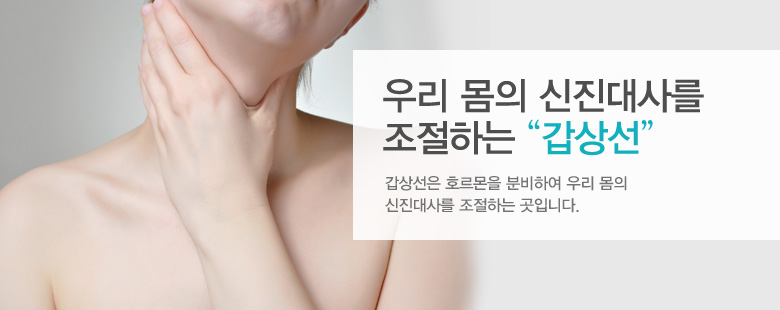 우리 몸의 신진대사를 조절하는 "갑상선"